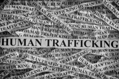 Human Trafficking 101: 1 CEU